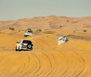 Short Safari Tour