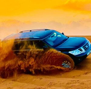 Safari Tour with Private car